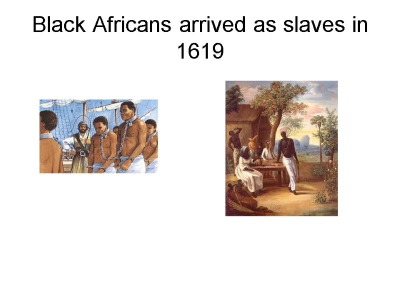Black Africans arrived as slaves in 1619
